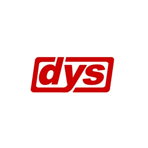 Dys