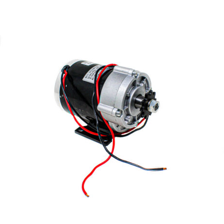 MY1020Z 450W 36V DC Motor