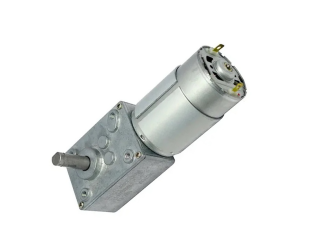 Worm Gear Motor