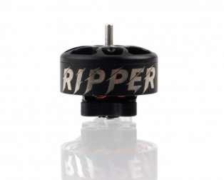 Holybro Ripper 1404 3800KV Ultralight Brushless Motor (One Qty)